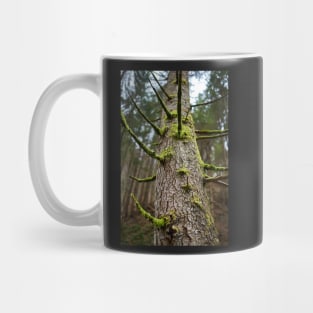 Pine tree with mossy branches Mug